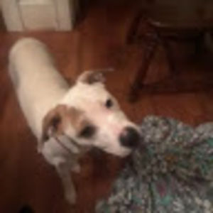 Meet your Posher, Malorie